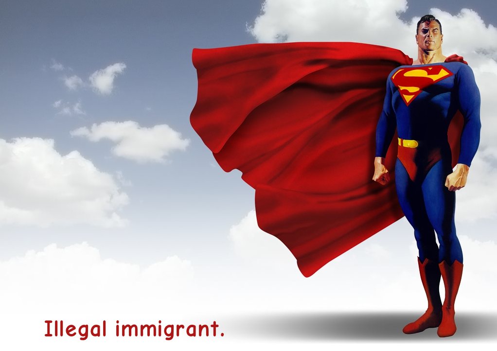 Illegal Immigrant